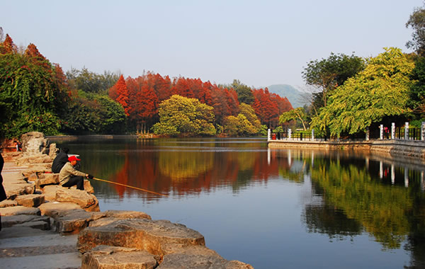 广州中秋节赏月好去处：麓湖公园