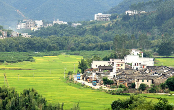 中秋去封开赏花灯、逛溶洞、品封栗