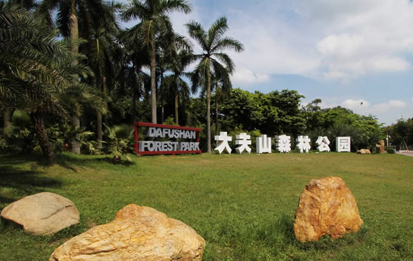 广州中秋节适合去哪？到大夫山远离喧嚣静谧赏月！