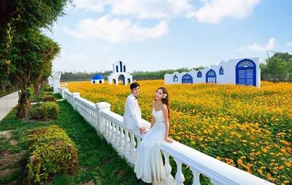 广州国庆旅游：百万葵园你去过几次？