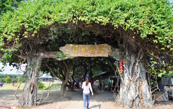 周末旅游好去处：黄埔长洲岛风情万种！