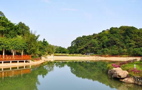 广州国庆出游指南：帽峰山森林公园攻略