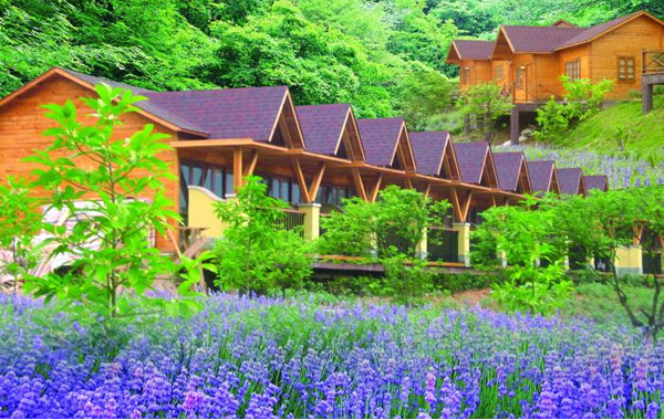 国庆旅行攻略：到盘龙峡看花海泡温泉！