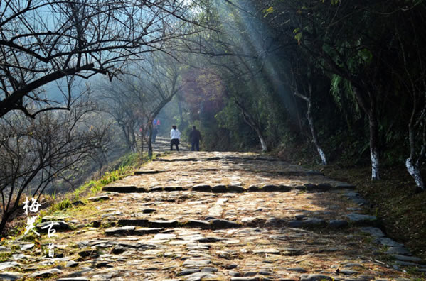 秋季旅游最佳去处：梅关古道游记