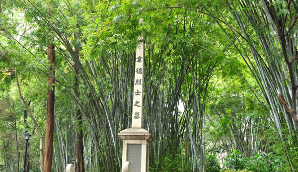 广州黄花岗起义的故事