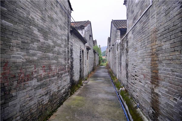 十二月旅游景点小洲村的风风雨雨(二)