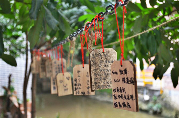 十二月旅游推荐：小洲村的艺术与人生②