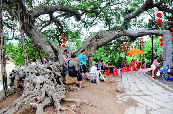 十二月去哪儿旅游？广州古镇小洲村！