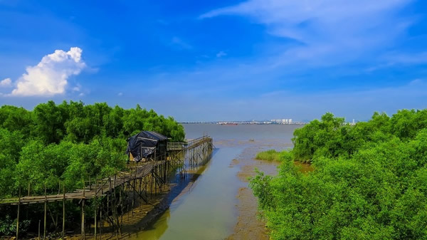 一月旅游景点推荐：原生态海鸥岛