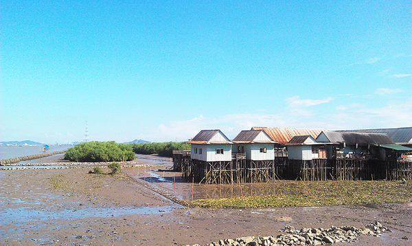 一月去哪旅游好？海鸥岛非常不错！