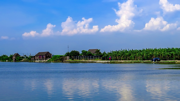 一月旅游到番禺海鸥岛啖鱼蟹！