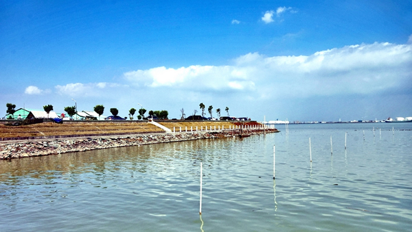 一月游景点：生态乡村旅游胜地海鸥岛