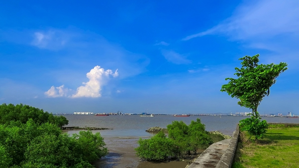 一月中旬旅游最佳去处：海鸥岛①