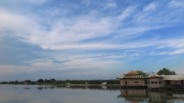一月中旬旅游最佳去处：海鸥岛②