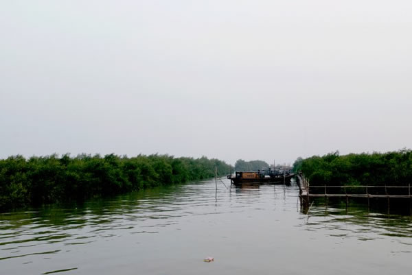 一月旅游推荐：海鸥岛吃喝玩乐攻略！②