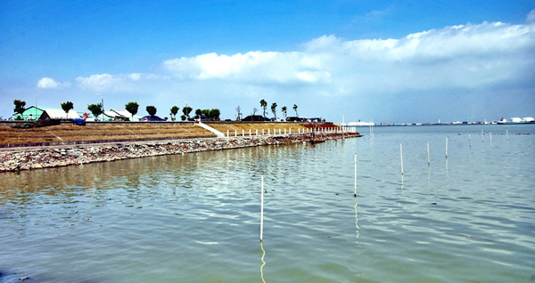 春节到番禺海鸥岛吃海鲜吧！