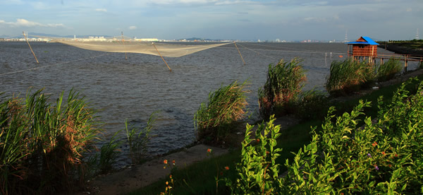春节旅游景点海鸥岛攻略