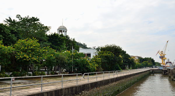 春节到长洲岛欣赏岭南乡村风景①
