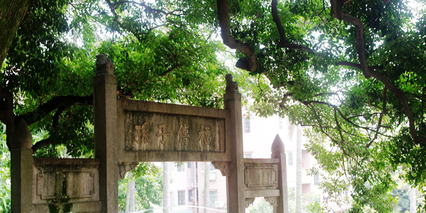 春节旅游长洲岛攻略①