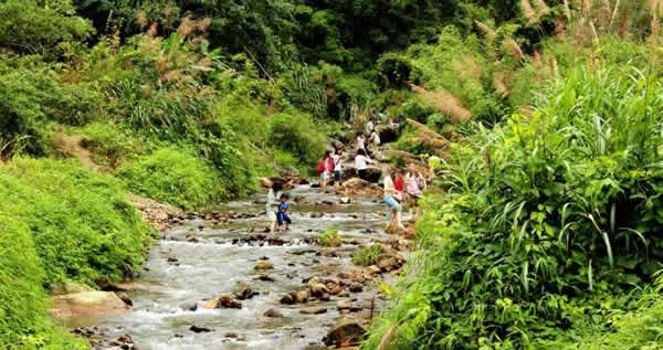 广州一日游好去处：从化溪头村