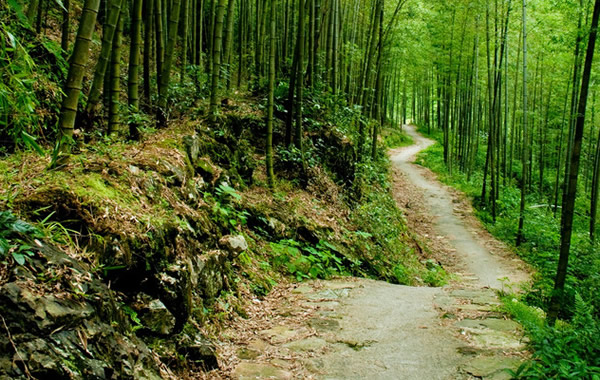 广州一日游推荐：从化溪头村