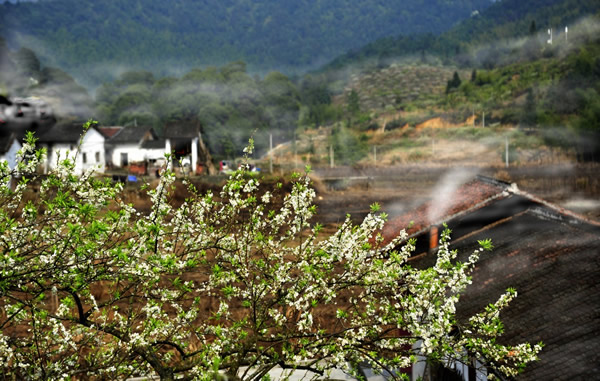 春节到从化溪头村骑游吧！