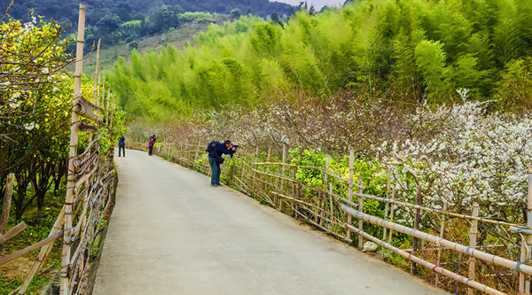 广州从化溪头村旅游攻略①
