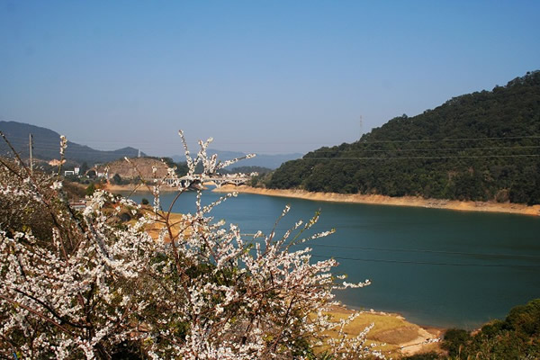 春节广州从化溪头村游玩攻略③