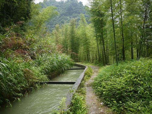 春节到溪头村赏青山绿水