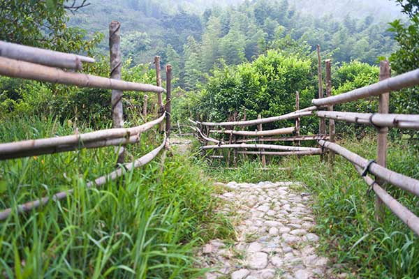 春节到溪头村参加农家乐