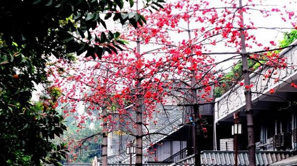 广州黄埔村慢生活探秘①