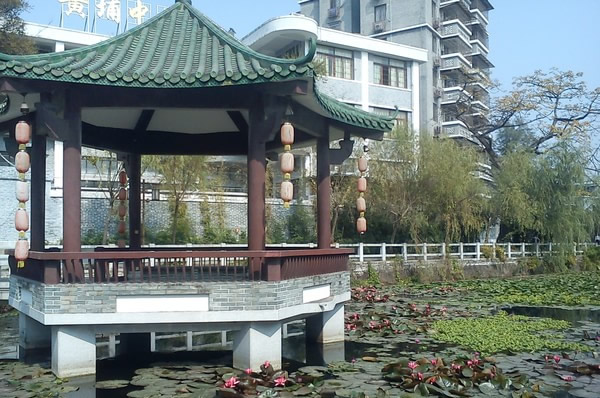 到黄埔村探寻千年商贸辉煌④