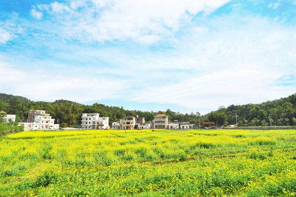 花都红山村一日游攻略②