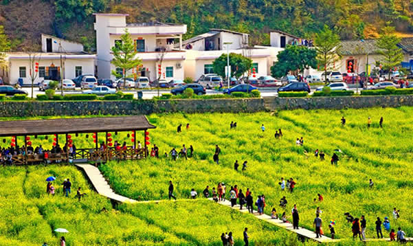 花都红山村一日游攻略⑤