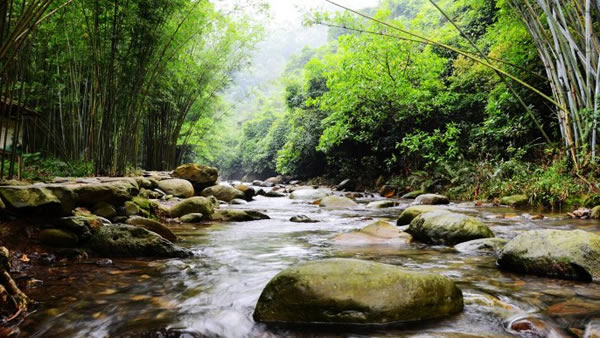 广东三月赏花踏青旅游攻略②