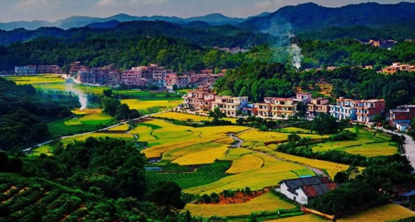 广东三月赏花踏青旅游攻略③