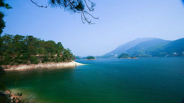 春季旅游到流溪河公园赏花