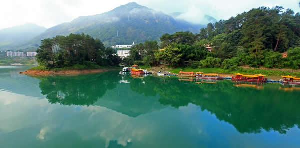 春季流溪河森林公园赏花攻略