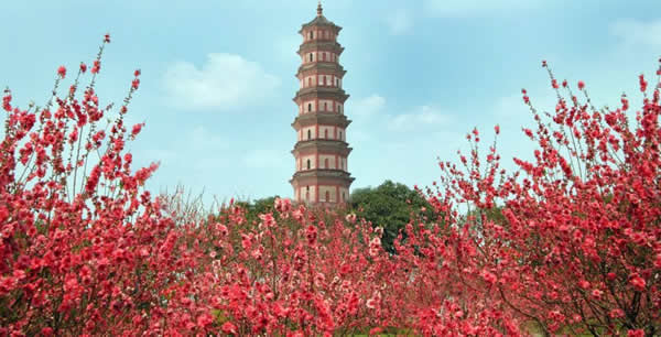 春节旅游到莲花山行桃花运