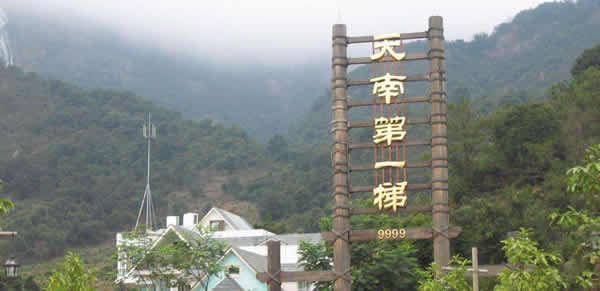 夏季暑期增城白水寨亲子游