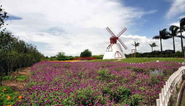三月旅游到百万葵园踏青赏花