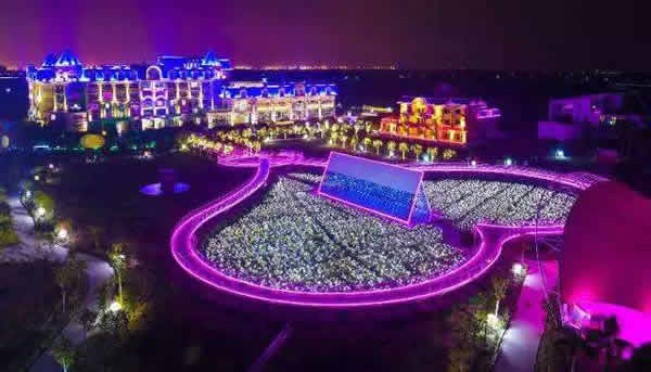 春季约会就去百万葵园月光殿