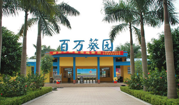 广州百万葵园一日游景点介绍