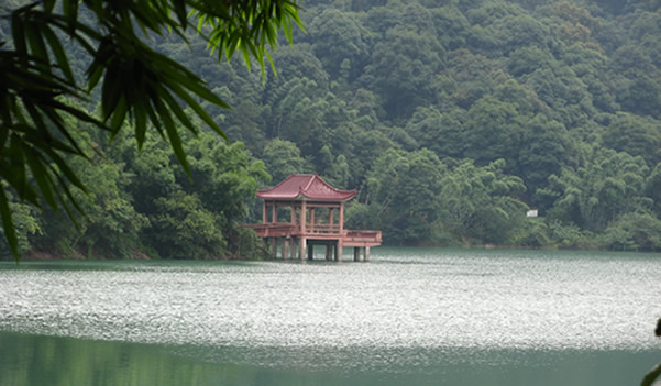 清明出游到广州帽峰山踏青吧！