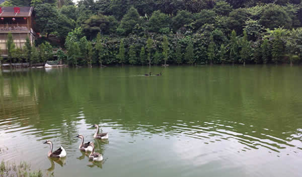 夏季帽峰山一日游吃喝玩乐攻略