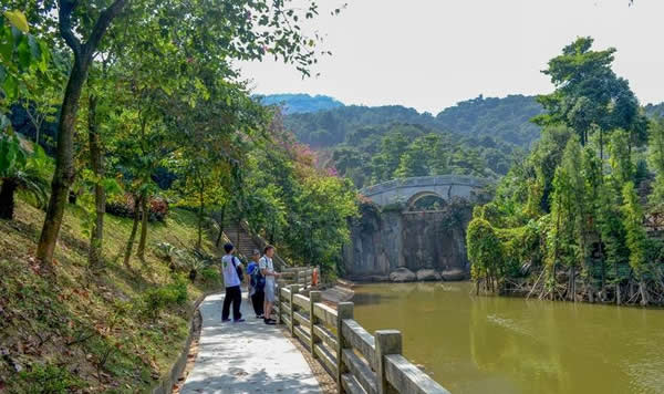 广州帽峰山春季旅游攻略推荐