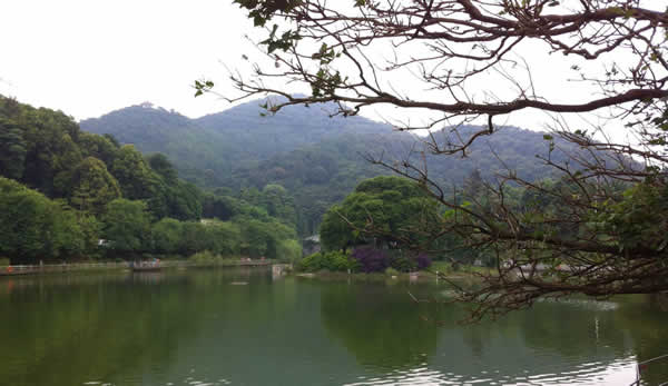春季旅游到广州帽峰山参加拓展训练