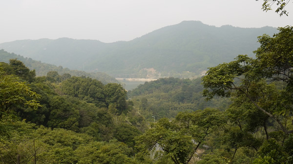 广州帽峰山春季三月游记上