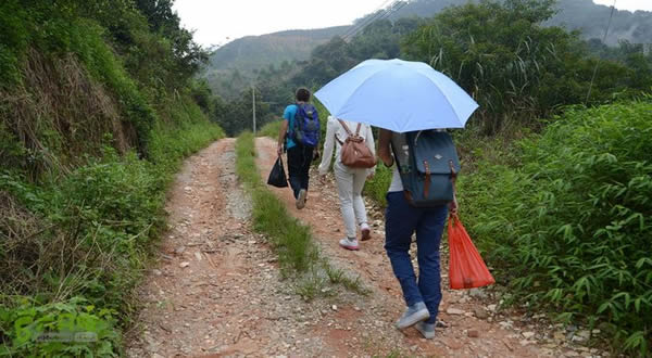 广州帽峰山森林公园探秘下