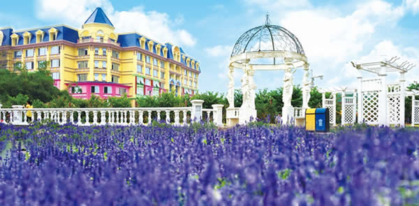 清明节旅游到百万葵园玩游戏